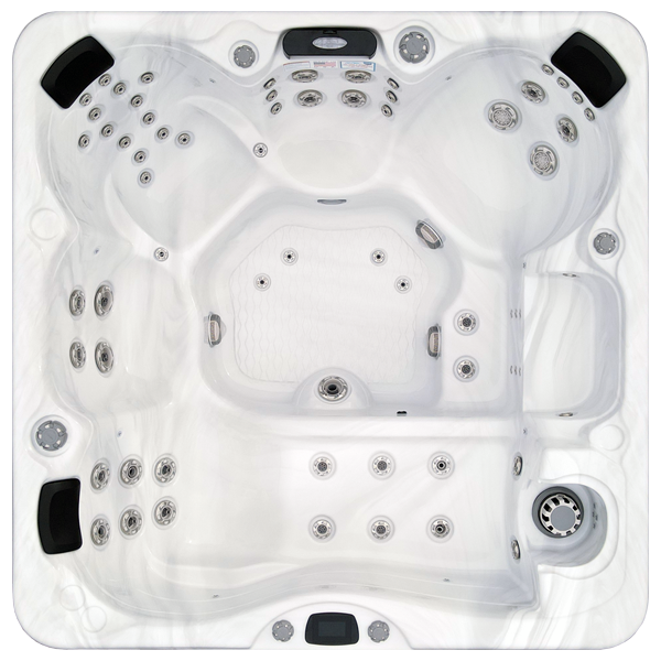 Avalon-X EC-867LX hot tubs for sale in Joliet